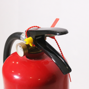 Bình chữa cháy BC 4kg Dragon