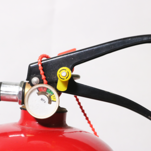 Bình chữa cháy BC 4kg Dragon