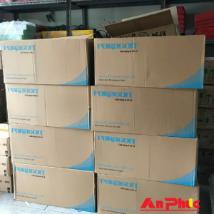 Đèn chiếu sáng sự cố Paragon PEMD21SW
